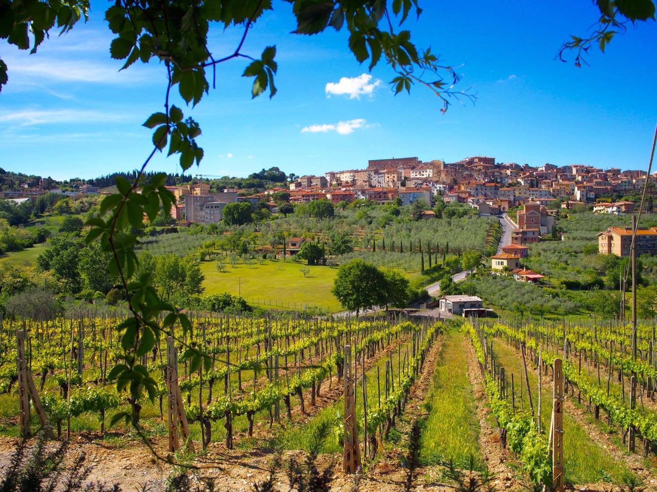 Italia Toscanan viini ja ruokamatkat 