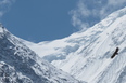 Annapurna vaellus Nepaliin