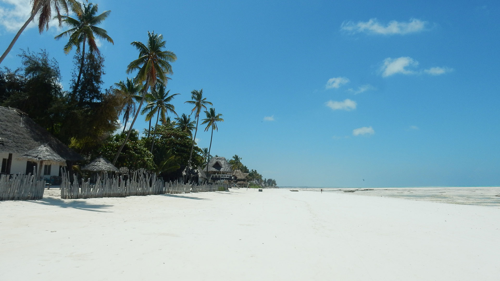 Zanzibar island   4 