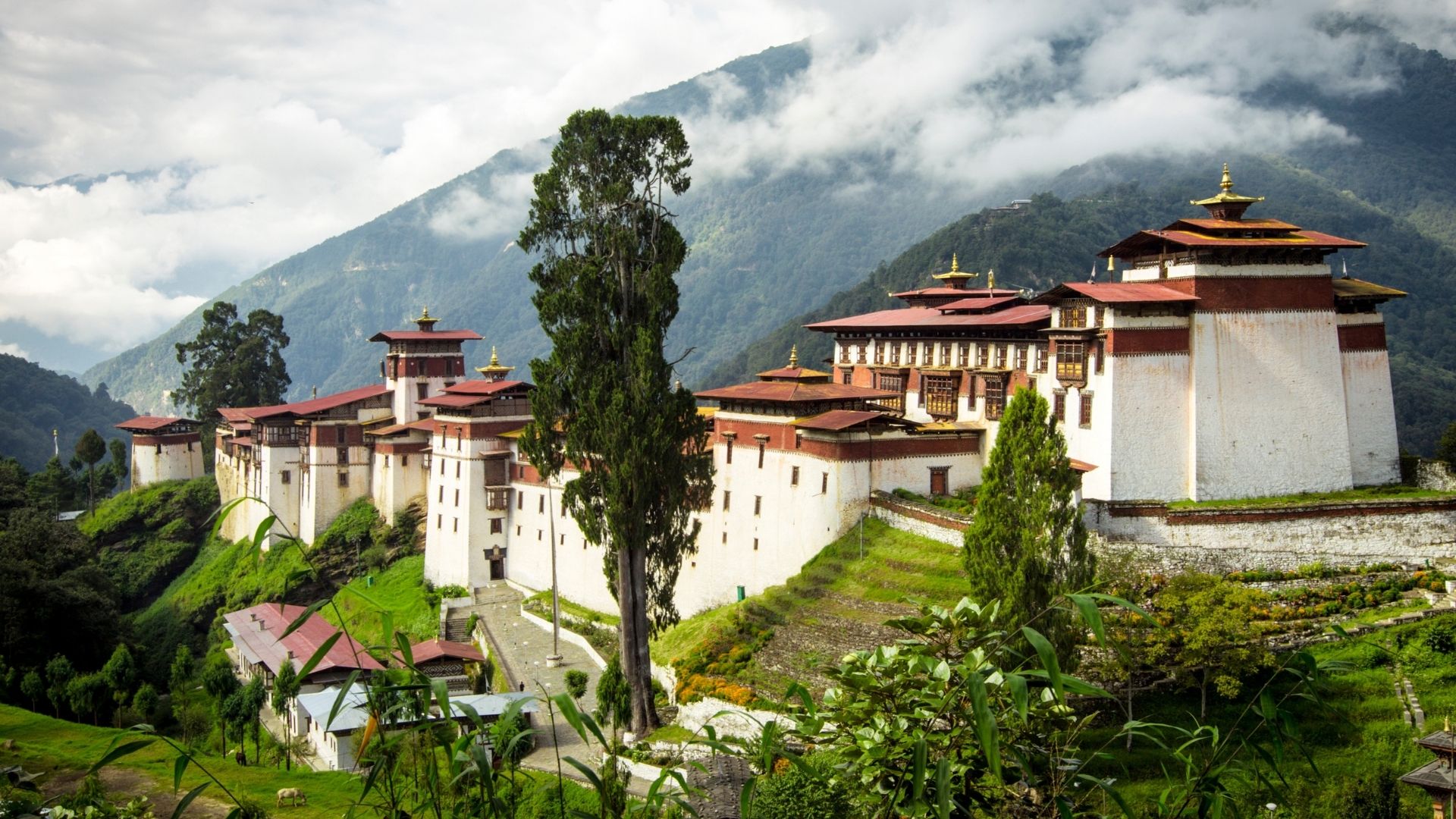 Bhutan matkat kiertomatkat 15
