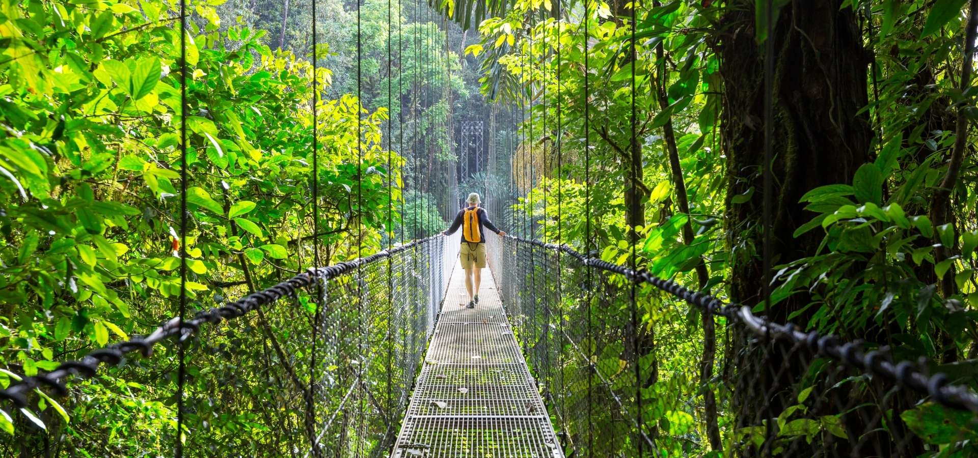 Costa Rican luontomatka - riippusilta Monteverdessä