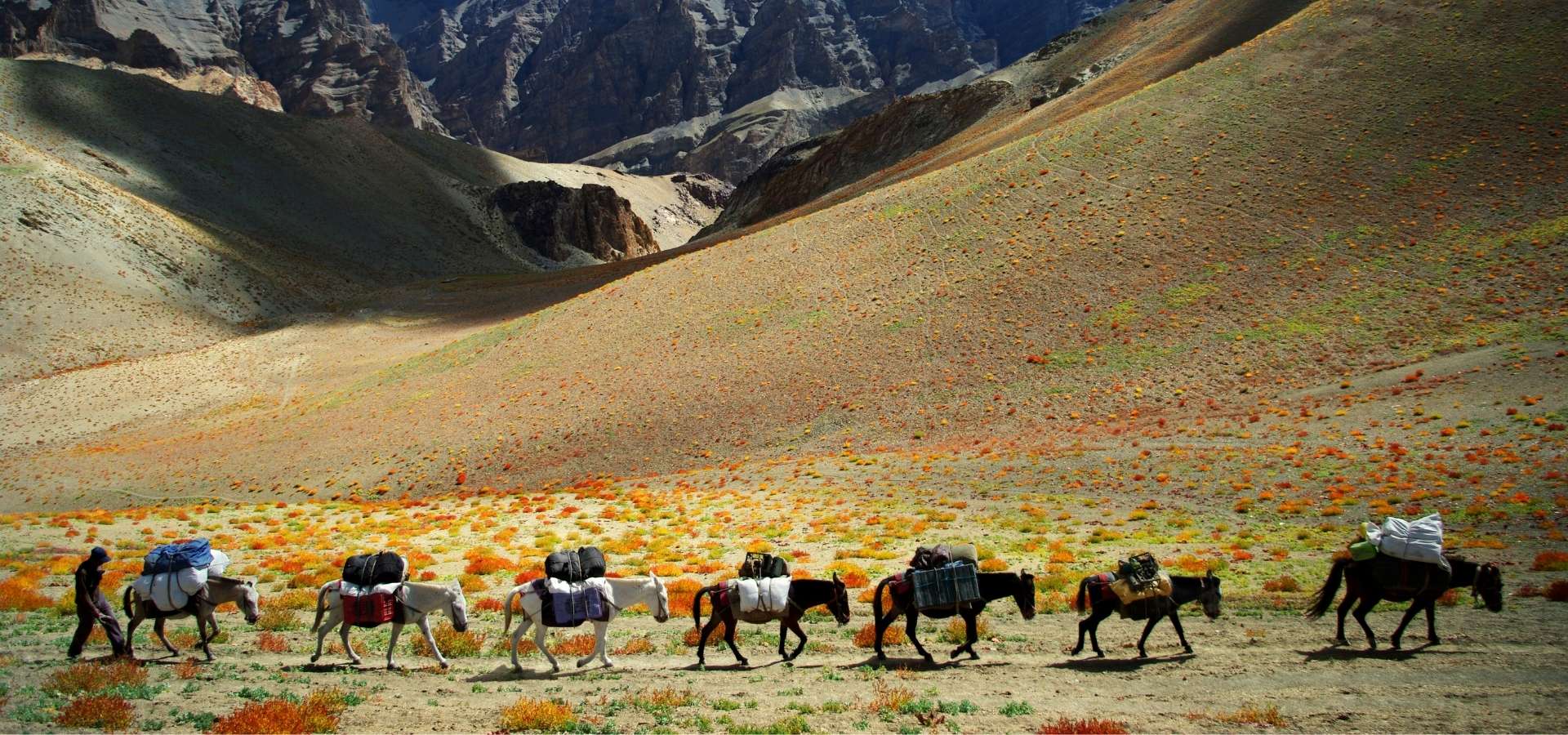 Ladakh matkat 9