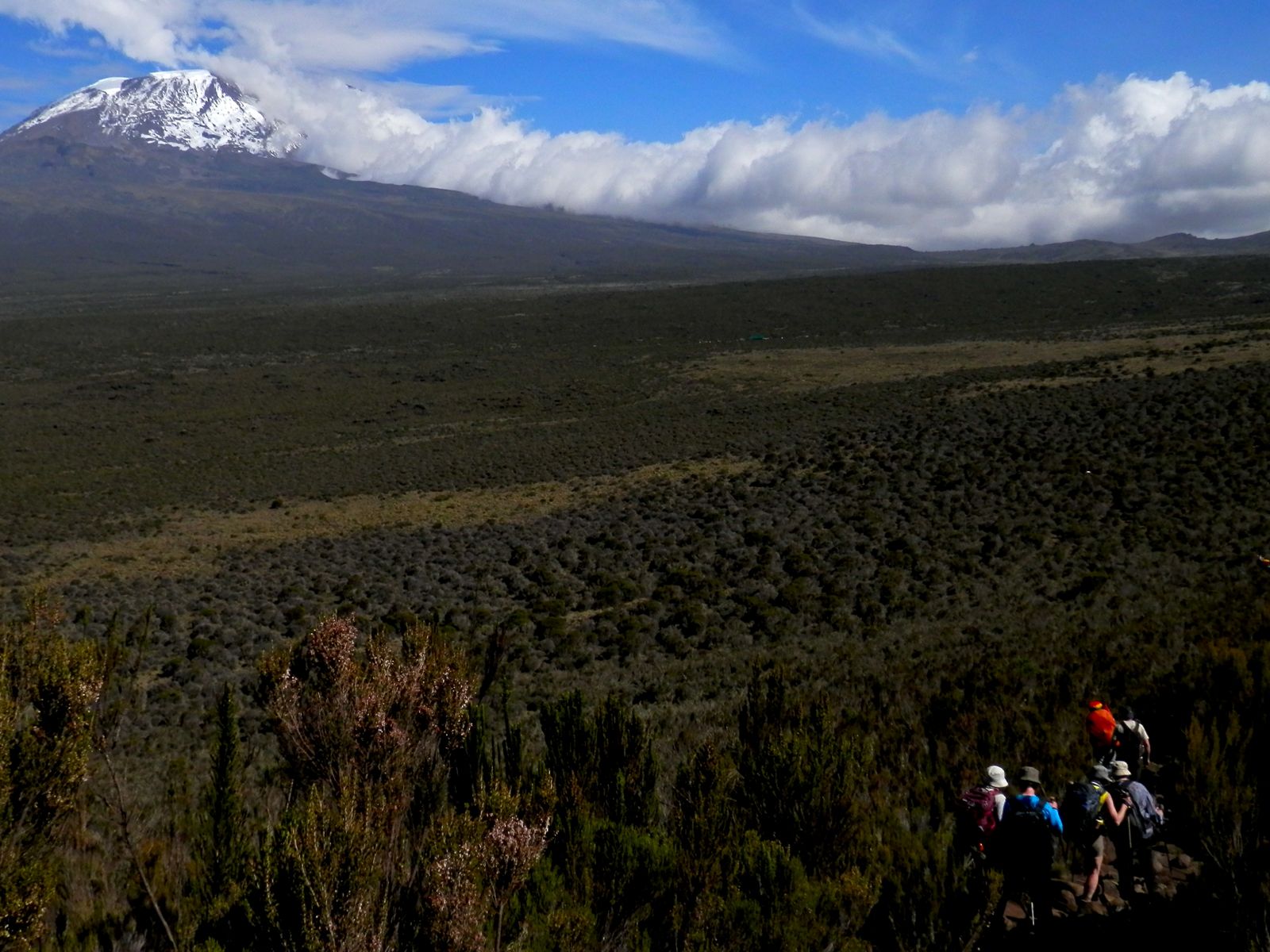 Kilimanjaro matkat ja safari