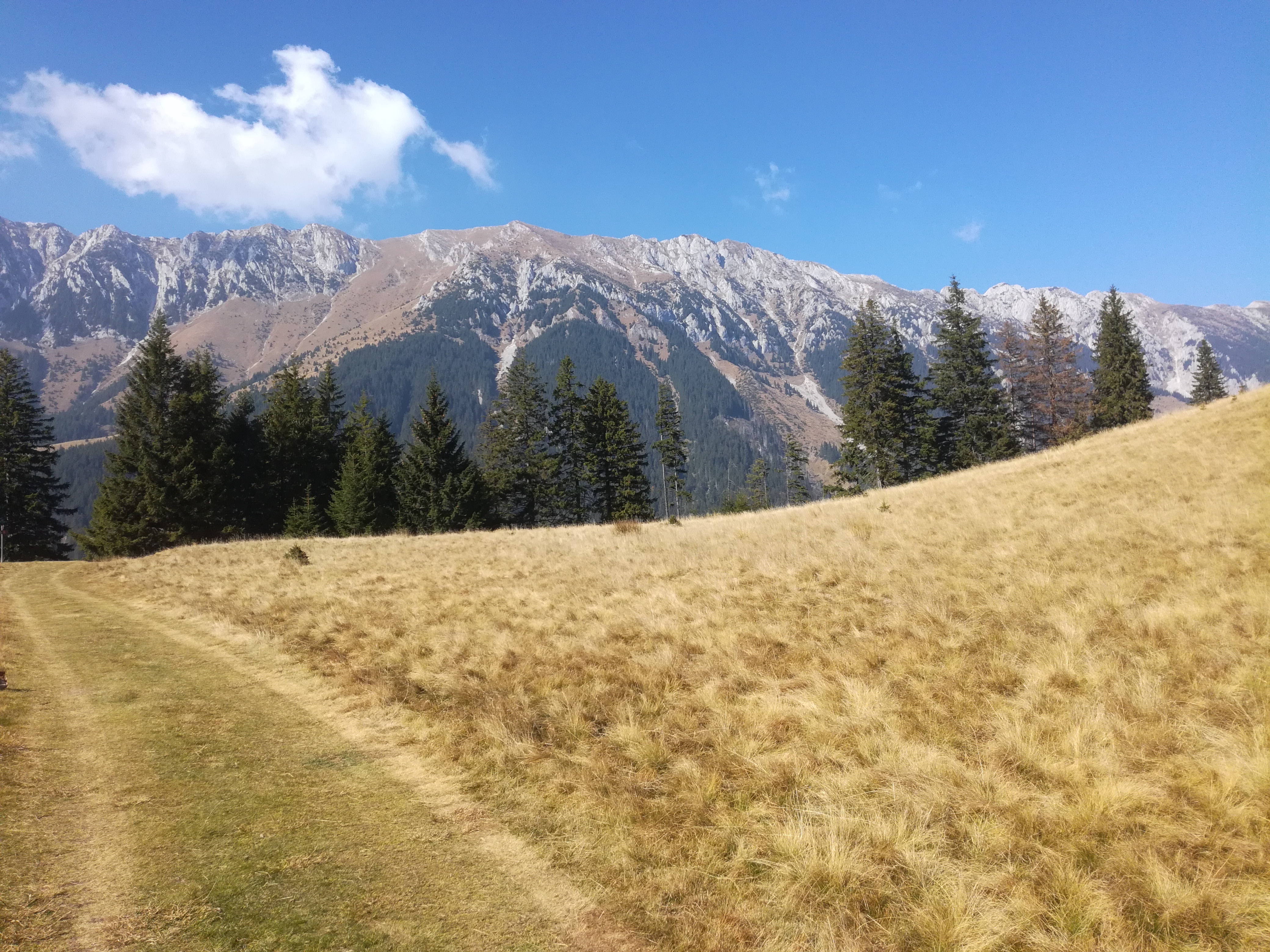 Romania matkat - Karpaattien patikointimatka