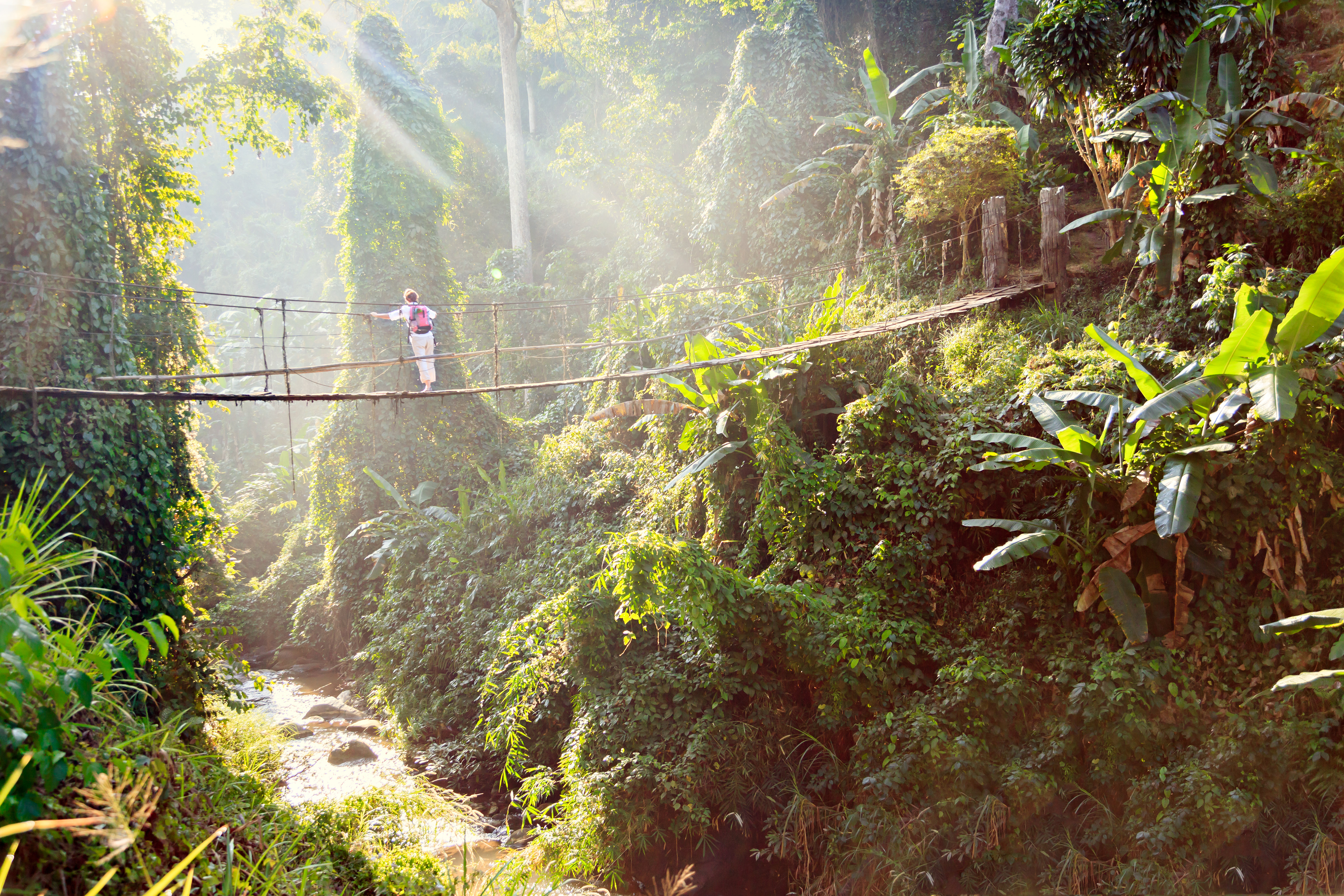 Woman-with-backpack-on-suspension-bridge-in-rainforest-509184494 5580x3720